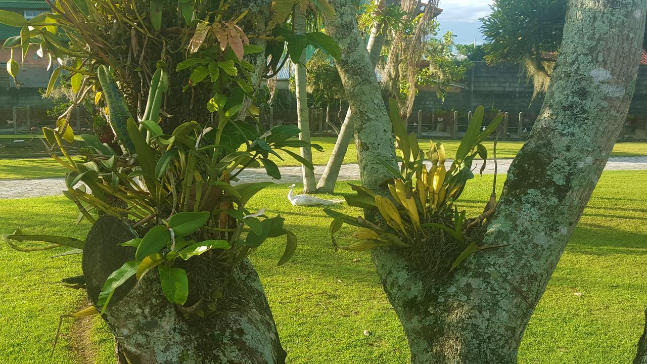 Florianópolis Pousada Pavao Branco מראה חיצוני תמונה