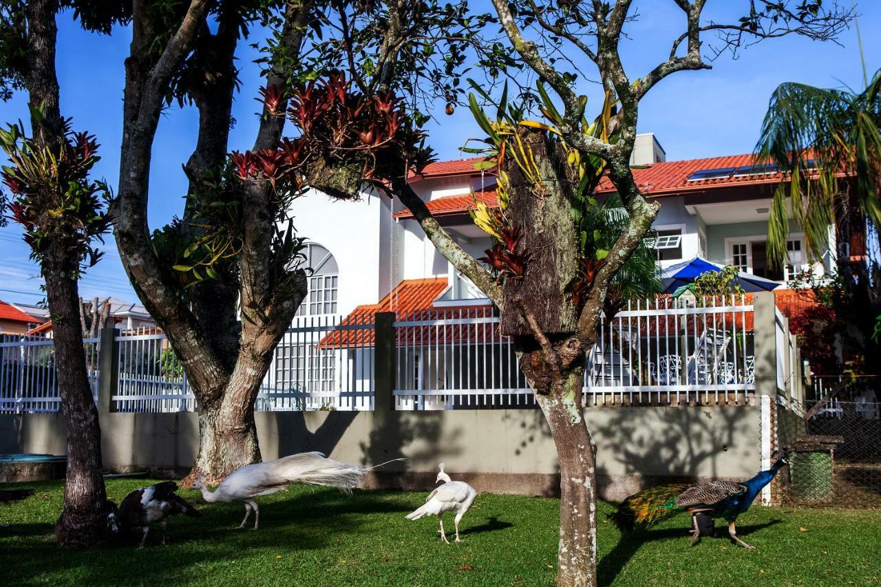 Florianópolis Pousada Pavao Branco מראה חיצוני תמונה